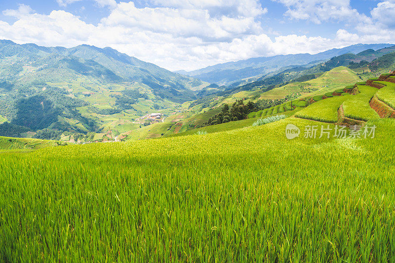 美丽的风景，绿色的稻田准备在越南西北部的梯田日落山在木仓寨，Yen Bai，越南